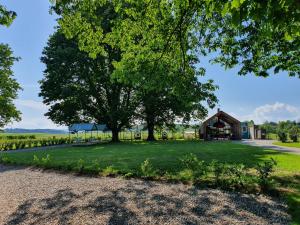 a large tree in front of a house at Tavio mobile house Kolpa, BIG BERRY, Metlika in Metlika