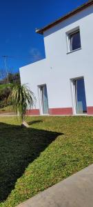 a white building with a palm tree in front of it at House Nobrega of Madeira in Arco da Calheta