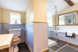 a bathroom with a toilet and a shower at Pen Y Bont in Llangollen