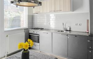 een keuken met roestvrijstalen apparatuur en een vaas met gele bloemen bij Lindegracht in Alkmaar