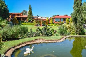 un jardín con 2 gansos nadando en un estanque en Quinta Tere Hotel & Gallery en Atemajac de Brizuela