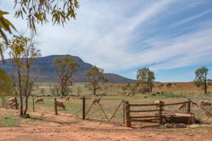Rawnsley Park Station, Flinders Ranges (updated prices 2025)