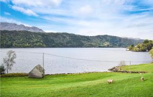two sheep grazing in a field next to a body of water at Beach Front Home In Tysse With Wifi in Bjørkheim