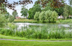 a pond in a park with grass and trees at 5 Bedroom Gorgeous Home In Tomelilla in Tomelilla