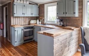 Η κουζίνα ή μικρή κουζίνα στο Cozy Home In Sjusjøen