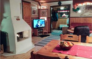 リンドファーレンにあるLovely Home In Slen With Kitchenのリビングルーム(暖炉、テレビ付)