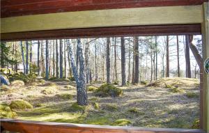 Příroda nedaleko prázdninového domu + 16 fotografií