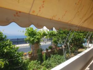 een balkon met planten en uitzicht op de oceaan bij Villa Seventh Heaven in Sarandë