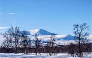 een met sneeuw bedekte berg in de verte met bomen op de voorgrond bij Gorgeous Home In Atna With Wifi in Atnoset