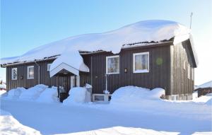 3 Bedroom Stunning Apartment In Sjusjen during the winter