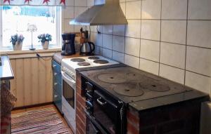 eine Küche mit einem Herd mit Backofen in der Unterkunft Awesome Home In Holsljunga With Kitchen in Holsljunga