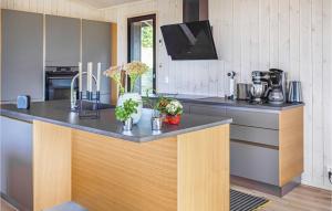 una cocina con una encimera con plantas. en Beautiful Home In Øyer With Sauna, en Øyer