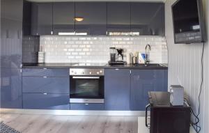 a kitchen with blue cabinets and an oven at Stunning Home In Filtvet With 1 Bedrooms in Filtvet