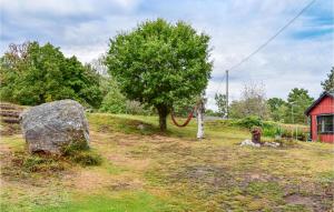 a tree and a rock in a field at Beautiful Home In Asarum in Asarum +9 photos