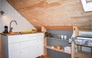 Kuchyň nebo kuchyňský kout v ubytování Pet Friendly Apartment In Johannishus