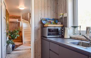 eine Küche mit einer Spüle und einer Mikrowelle auf der Theke in der Unterkunft Awesome Apartment In Risr With Lake View in Risør