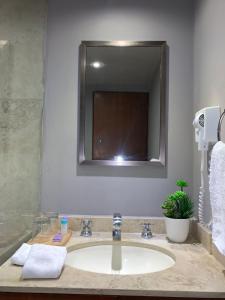 a bathroom sink with a large mirror above it at Cozy Stylish room in Polanco in Mexico City