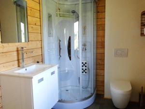 a bathroom with a shower and a sink and a toilet at Holiday Home A Pas de Loup in La-Roche-en-Ardenne +22 photos