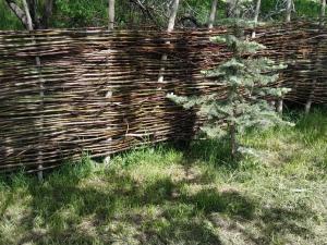 a wooden fence with a small pine tree next to it at Turan Handmade Yurt with Heated Floors in Karakol