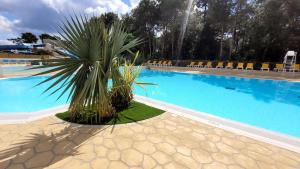 Zdjęcie z galerii obiektu Le Bambou - Saint-Jean-de-Monts - Piscine Jacuzzi Sauna Hammam w mieście Saint-Jean-de-Monts