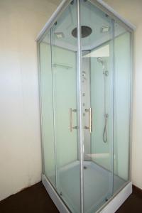 a shower with a glass enclosure in a room at TITICACA FLAMENCO LODGE in Puno