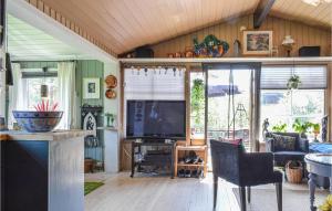 TV a/nebo společenská místnost v ubytování Beautiful Home In Hornnes With House A Mountain View