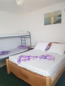 1 Schlafzimmer mit 2 Etagenbetten in einem Zimmer in der Unterkunft B&B BALANI Rooms in Shkodra