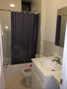 a bathroom with a sink and a toilet and a shower at Chrystie Street Apartments in New York