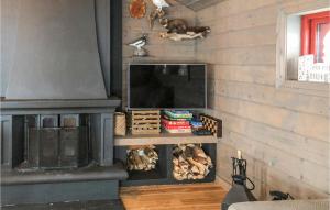 uma sala de estar com lareira e uma televisão de ecrã plano em Cozy Home In seral With House A Mountain View em Åseral
