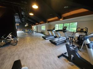 Fitness centrum a/nebo fitness zařízení v ubytování Parkview Hotels & Resorts