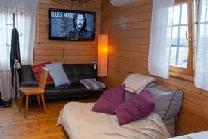 a living room with a couch and a tv at Kuuseoksa Holiday Home in Viru-Nigula