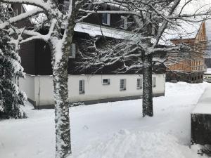 two trees in the snow in front of a house at Zotavovna Kvilda in Kvilda