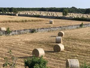 a field of hay bales in a field at Masseria Chianca - Le rose in Mottola +6 photos