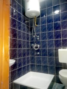 a bathroom with a toilet and a blue tiled wall at Apartman Centar in Foča