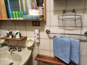 a bathroom with a sink and a mirror and blue towels at Da Ange e Bru in Sestri Levante +38 photos