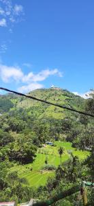 a view of a hill with a green field at Green Leaf Resort in Ella