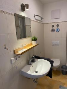 La salle de bains est pourvue d'un lavabo et de toilettes. dans l'établissement Ferienwohnung Vörstetten, à Vörstetten