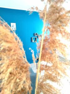 a view of a room with a blue wall and trees at L'Antique SPA: jacuzzi sous patio in Orange