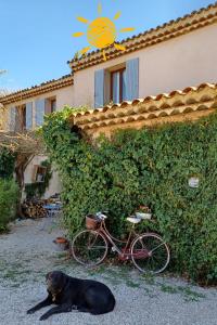 Gallery image of Suite avec jardin entre Aix en Provence, Luberon et Verdon in Peyrolles-en-Provence