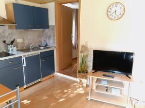 a kitchen with blue cabinets and a tv on a table at Ferienhaus am Urzeitpark Sebnitz in Hertigswalde