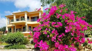 Vonkajšia záhrada v ubytovaní Villa Omega Kefalonia