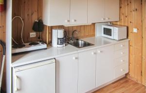 een witte keuken met een wastafel en een magnetron bij Awesome Home In Spangereid With Kitchen in Korshamn