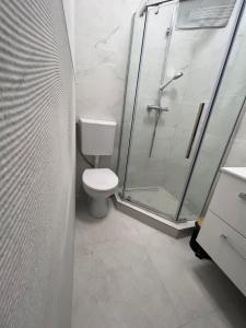 a bathroom with a toilet and a glass shower at Casa Mignon in Oradea