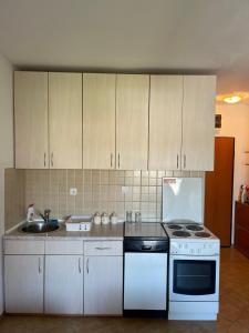 Kuchyň nebo kuchyňský kout v ubytování apartman "Sutorina"