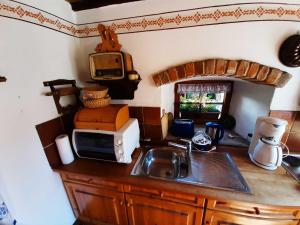 a kitchen counter with a sink and a microwave at Ferienhäuschen Rosi Brehm in Hollfeld