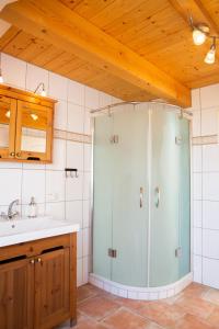 a bathroom with a shower and a sink at Haus im Felde Whg 5 in Fehmarn