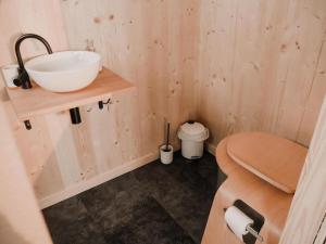 ein Bad mit einem Waschbecken und einem WC in der Unterkunft Parcel Tiny House I Chèvrerie de Rilly in Cravant