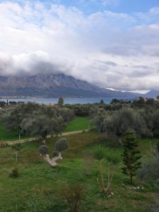 Príroda v okolí apartmánu