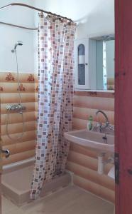 La salle de bains est pourvue d'une douche et d'un lavabo. dans l'établissement Hellmann Apartments, à Afionas