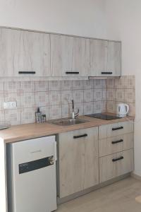 a kitchen with a sink and a white refrigerator at Hellmann Apartments in Afionas
